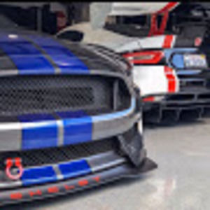 Meet your Posher, Roy